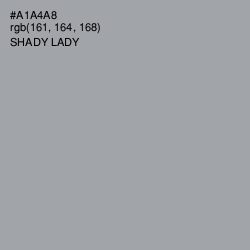 #A1A4A8 - Shady Lady Color Image